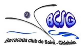 Logo BCSG